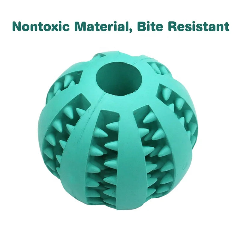 Dog Ball Toy