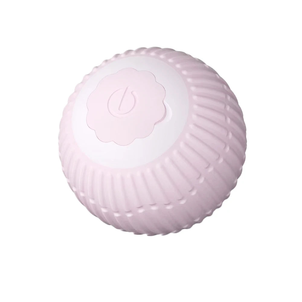 Gravitational Rolling Pet Ball 