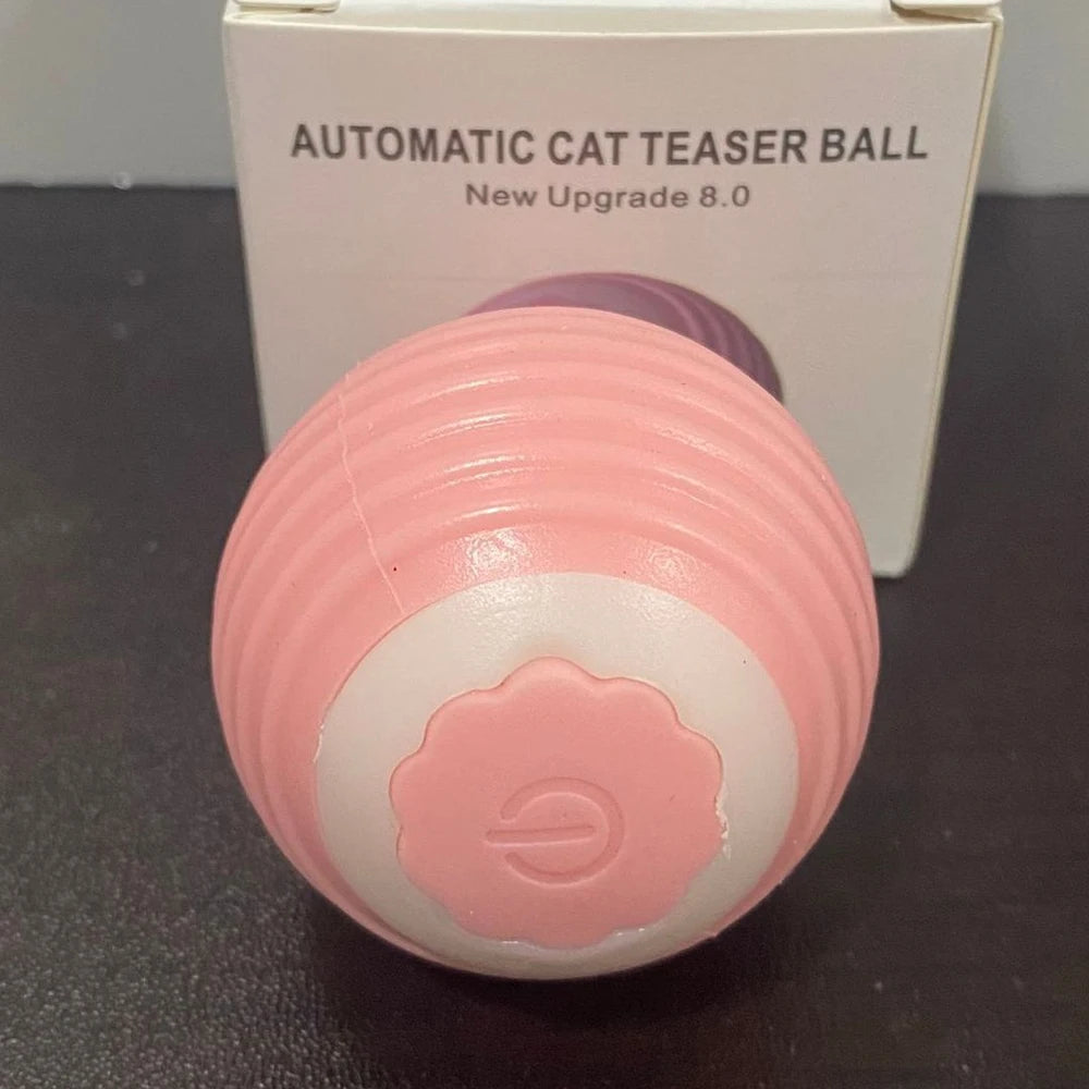 Gravitational Rolling Pet Ball 