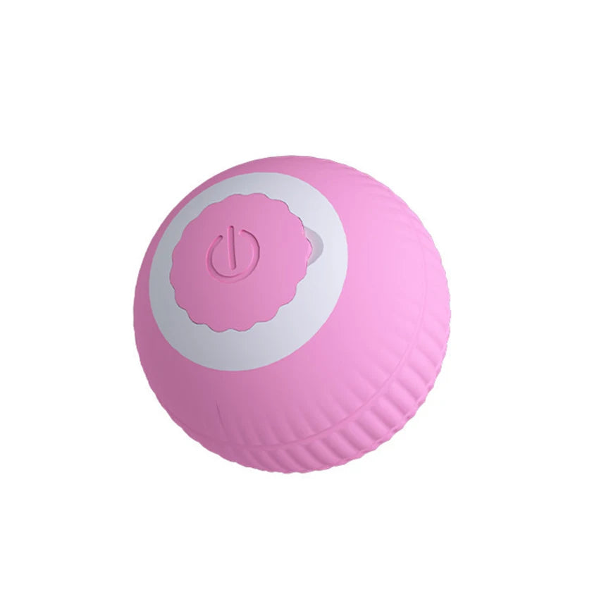 Gravitational Rolling Pet Ball 