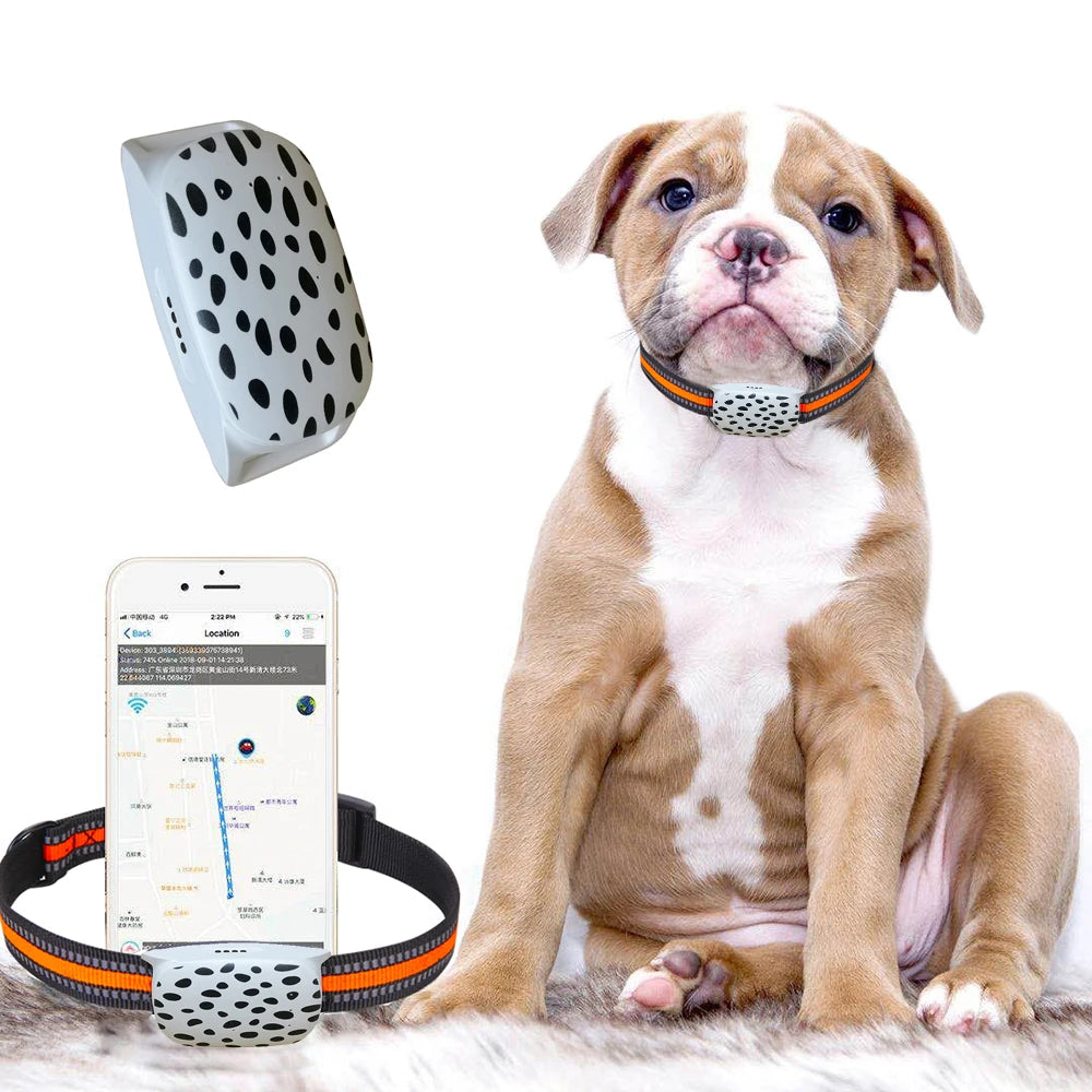 Pet Tracking Device with Collar GPS & App Integration