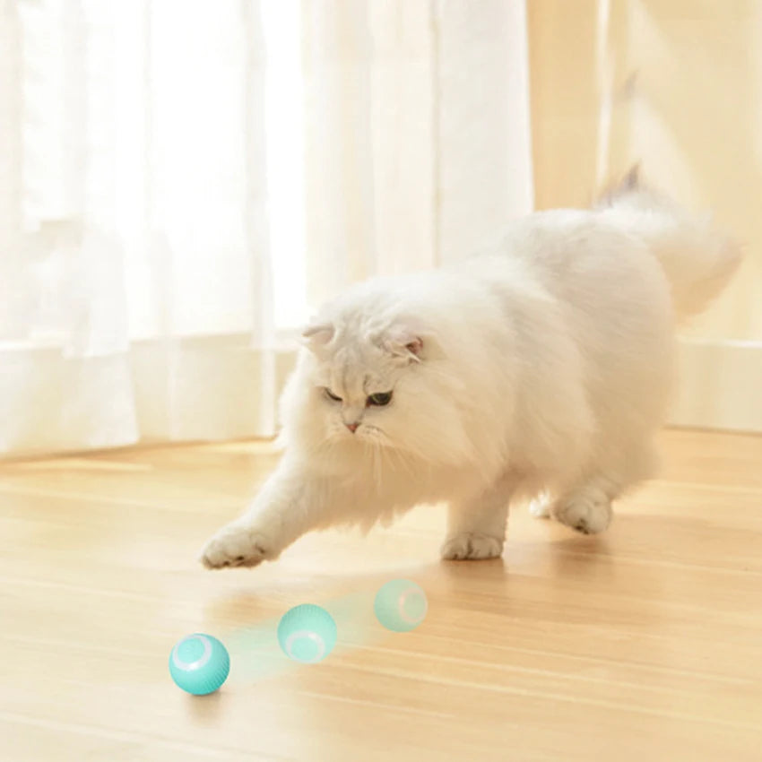 Gravitational Rolling Pet Ball 