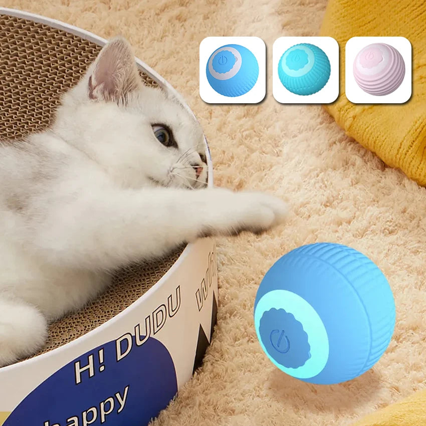 Gravitational Rolling Pet Ball 