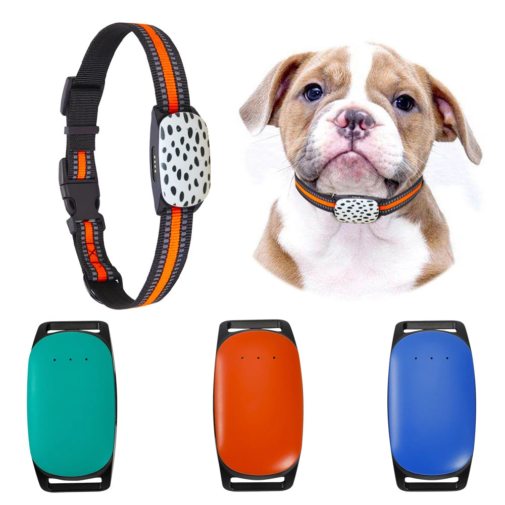 Pet Tracking Device with Collar GPS & App Integration