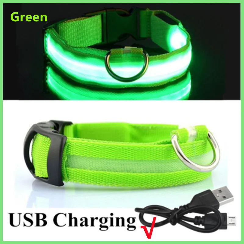 LED Glowing Dog Collar