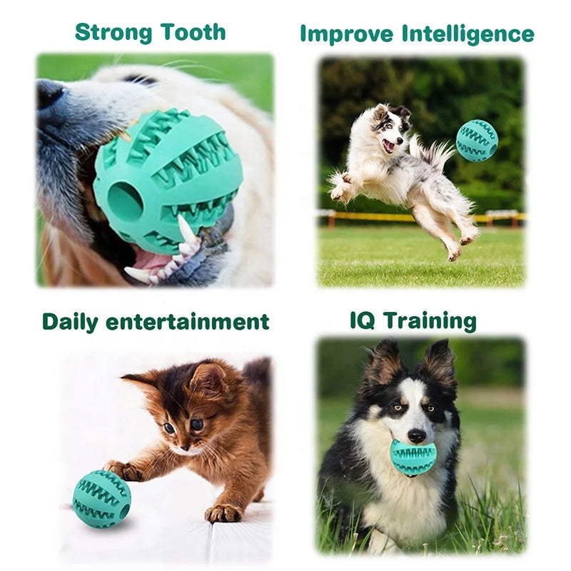 Dog Ball Toy