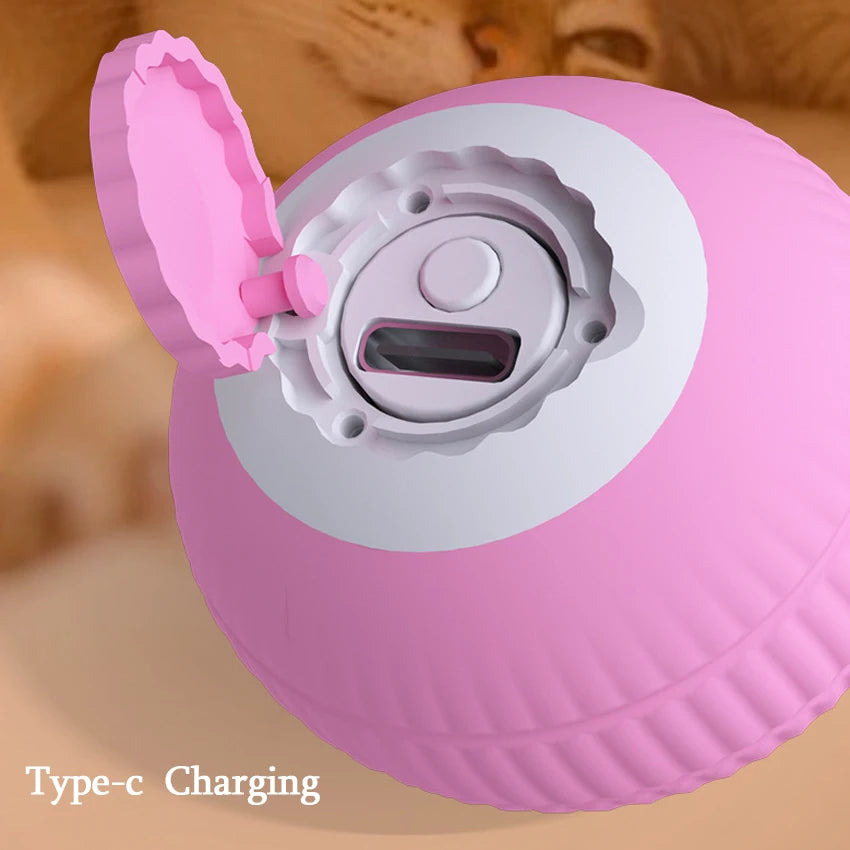 Gravitational Rolling Pet Ball 