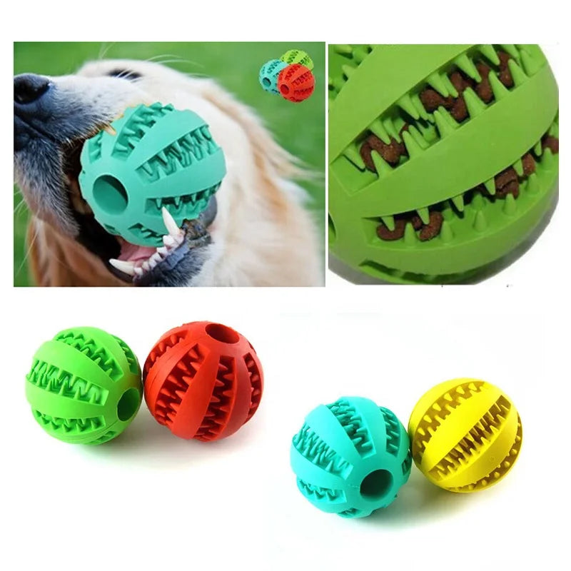 Dog Ball Toy