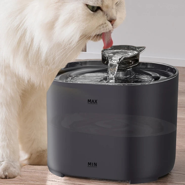 Automatic Pet Water Fountain